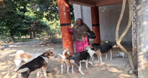 রাজশাহীর সেই নারী, যিনি ২০টির বেশি কুকুর-বিড়ালের মা হয়ে উঠেছেন!