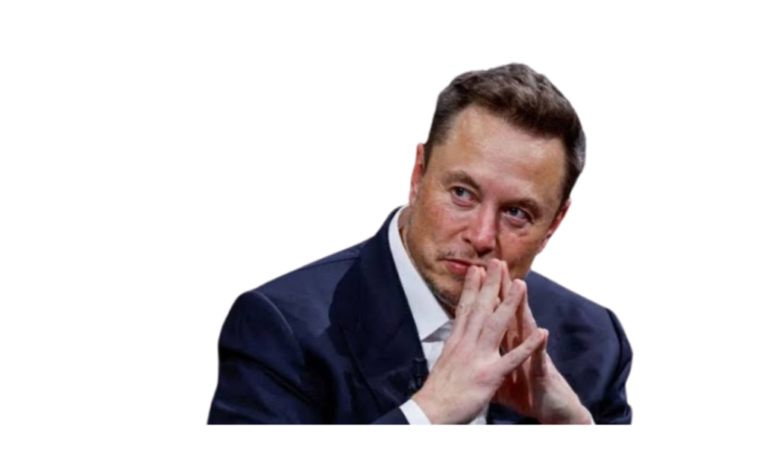 ইলন মাস্ক এর জীবনী