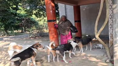 রাজশাহীর সেই নারী, যিনি ২০টির বেশি কুকুর-বিড়ালের মা হয়ে উঠেছেন!